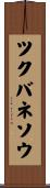ツクバネソウ Scroll