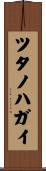 ツタノハガイ Scroll
