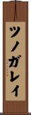 ツノガレイ Scroll