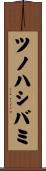 ツノハシバミ Scroll