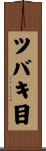 ツバキ目 Scroll