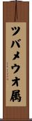 ツバメウオ属 Scroll