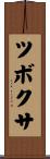 ツボクサ Scroll