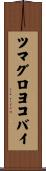 ツマグロヨコバイ Scroll