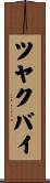 ツヤクバイ Scroll