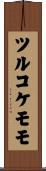 ツルコケモモ Scroll