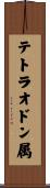 テトラオドン属 Scroll