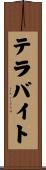 テラバイト Scroll