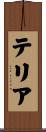 テリア Scroll