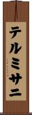 テルミサニ Scroll