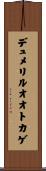 デュメリルオオトカゲ Scroll