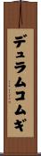 デュラムコムギ Scroll