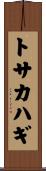 トサカハギ Scroll