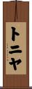 Tonya Scroll