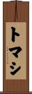 Tomasi Scroll