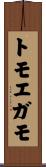トモエガモ Scroll