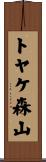 トヤケ森山 Scroll