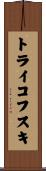 トライコフスキ Scroll
