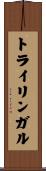 トライリンガル Scroll