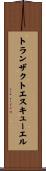 トランザクトエスキューエル Scroll