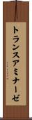トランスアミナーゼ Scroll