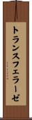 トランスフェラーゼ Scroll