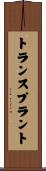 トランスプラント Scroll