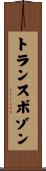 トランスポゾン Scroll
