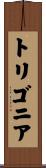 トリゴニア Scroll