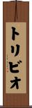 Toribio Scroll
