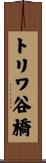 トリワ谷橋 Scroll