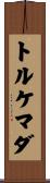 トルケマダ Scroll