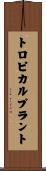 トロピカル・プラント Scroll