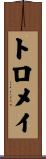 トロメイ Scroll