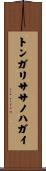 トンガリササノハガイ Scroll
