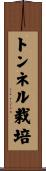 トンネル栽培 Scroll