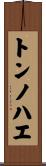 トンノハエ Scroll
