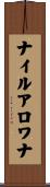 ナイルアロワナ Scroll