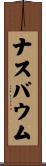 ナスバウム Scroll