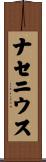 ナセニウス Scroll