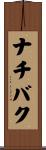 ナチバク Scroll