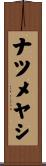 ナツメヤシ Scroll