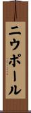 ニウポール Scroll