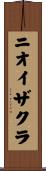 ニオイザクラ Scroll