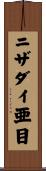 ニザダイ亜目 Scroll