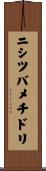 ニシツバメチドリ Scroll