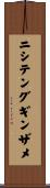 ニシテングギンザメ Scroll