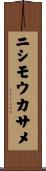 ニシモウカサメ Scroll