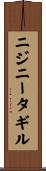 ニジニータギル Scroll