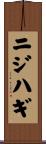 ニジハギ Scroll